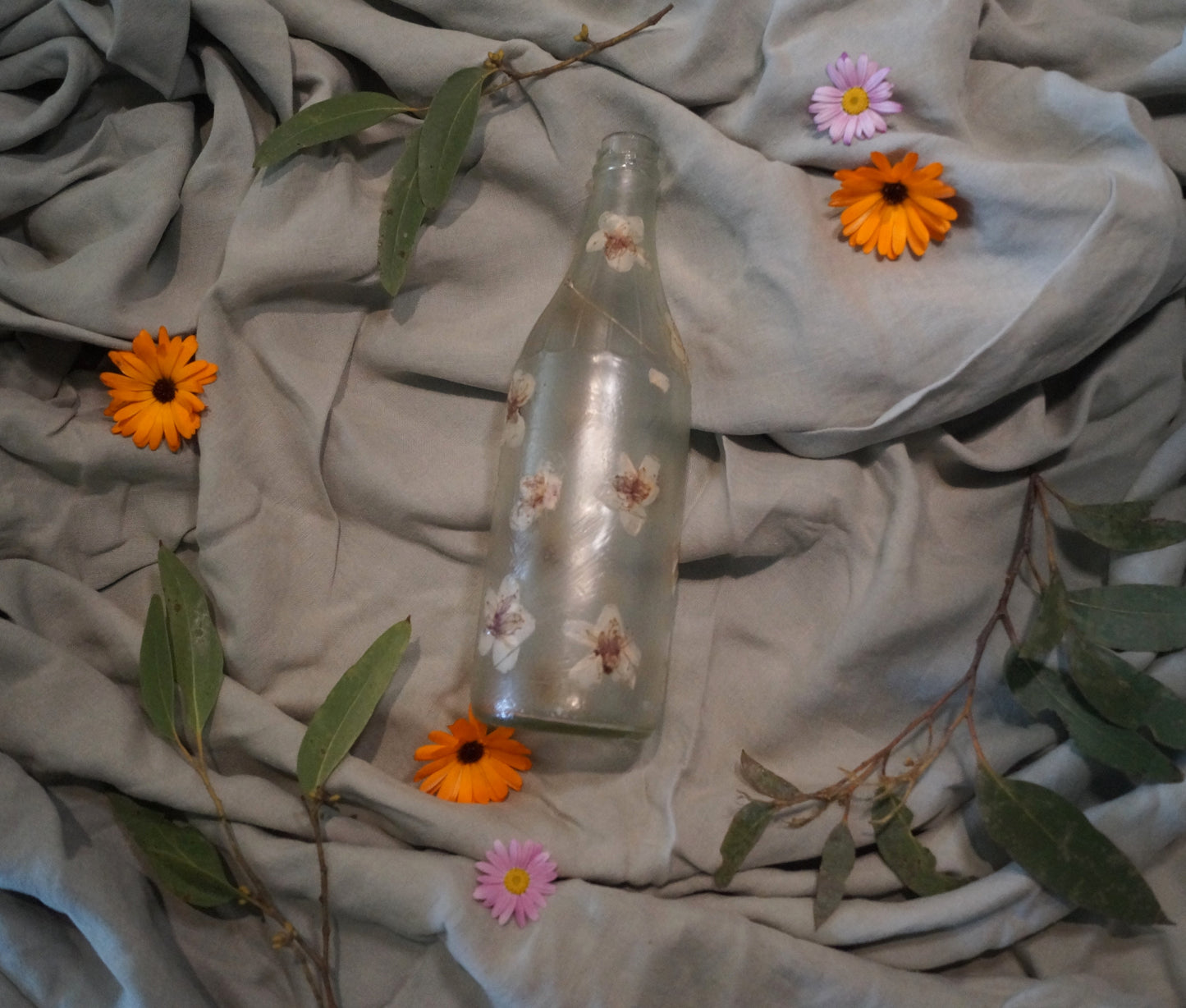 Botanic Bottle #1