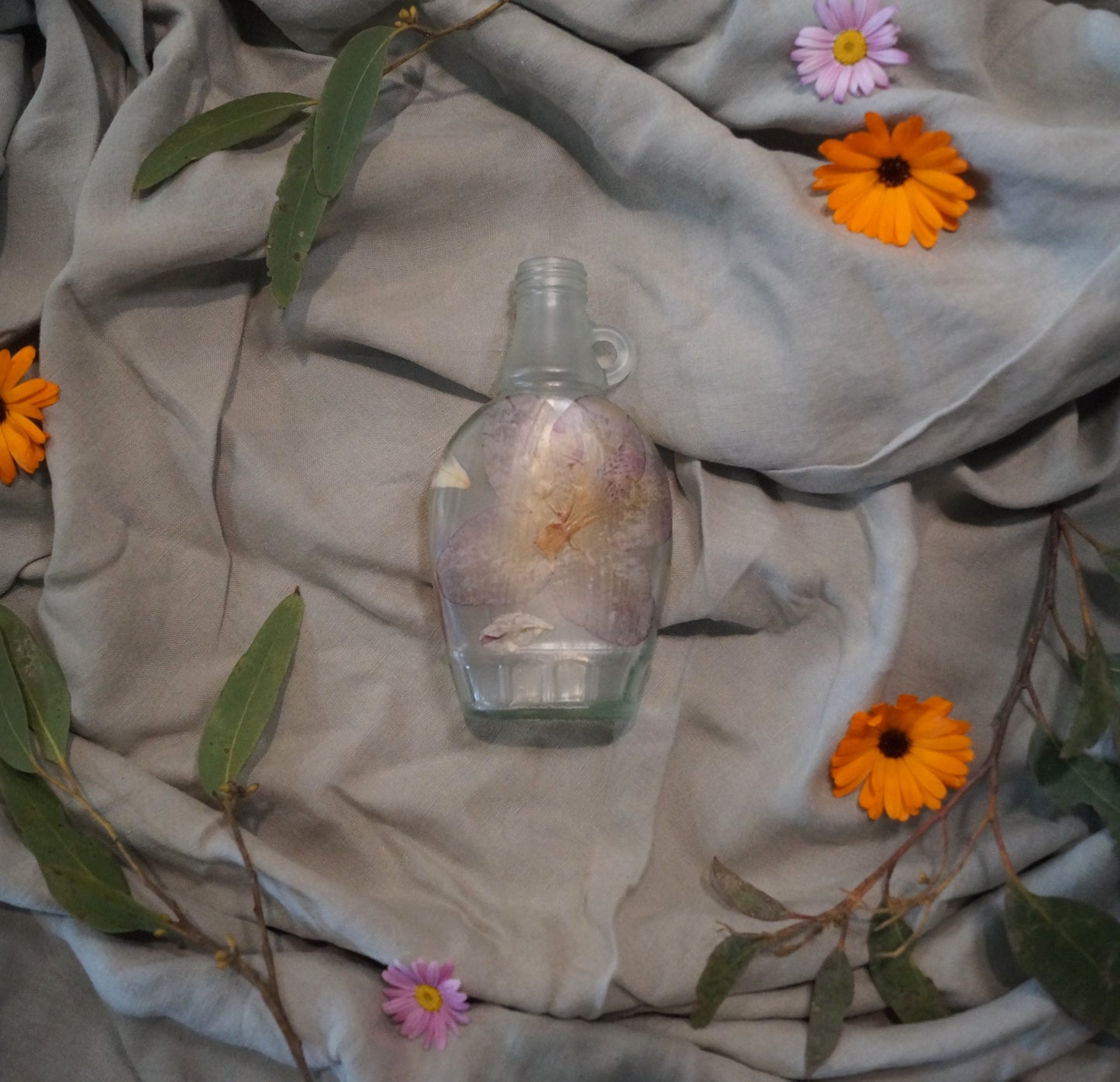 Botanic Bottle #7