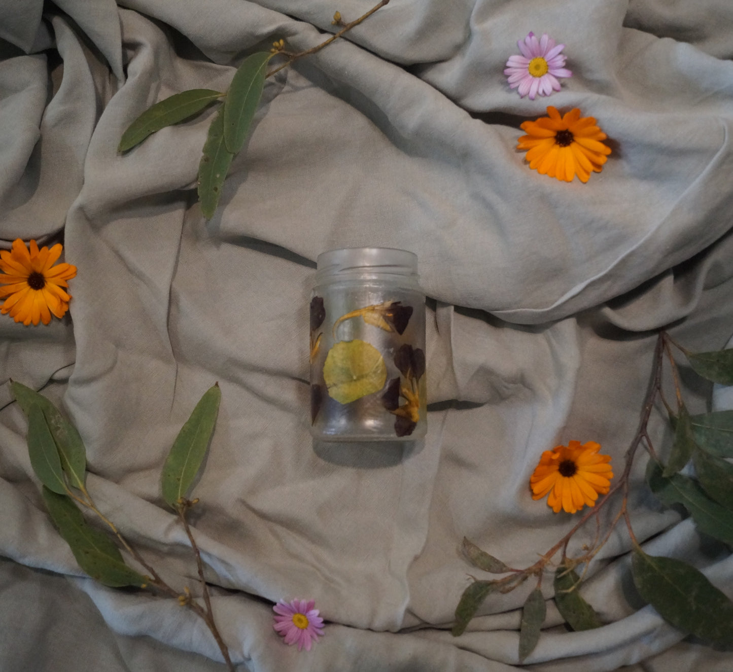 Botanic Bottle #8