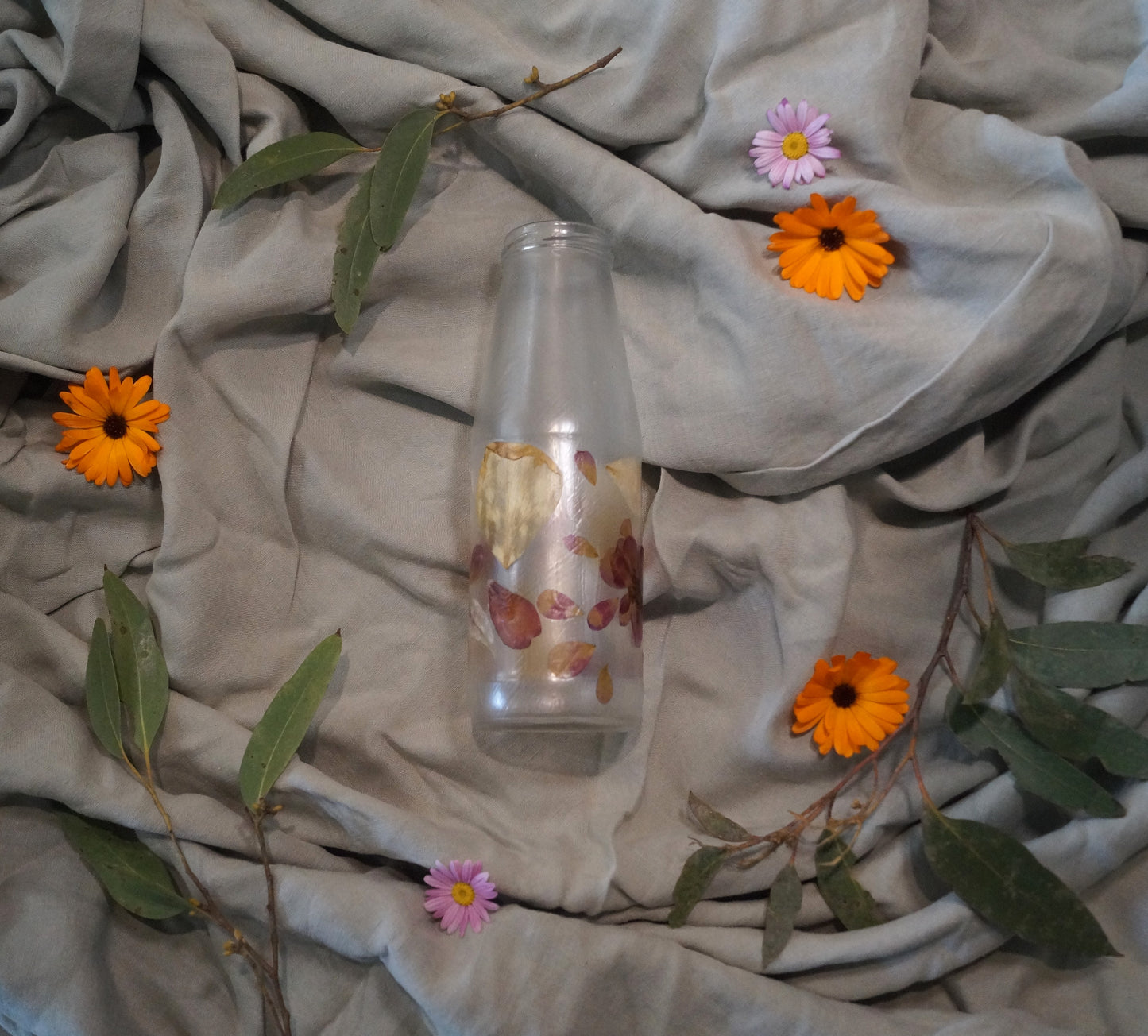 Botanic Bottle #4