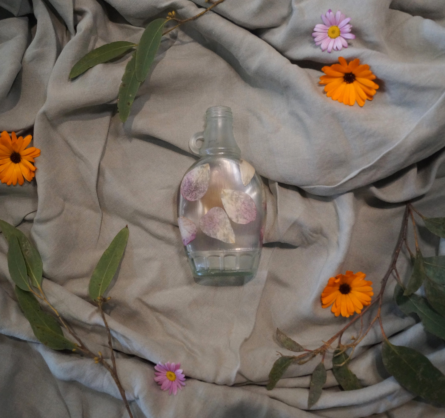 Botanic Bottle    #7