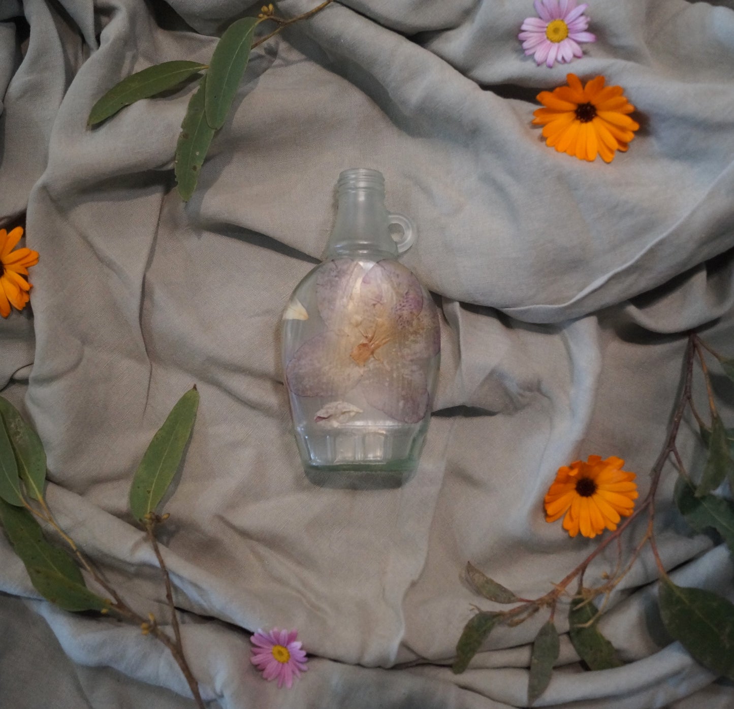 Botanic Bottle    #7