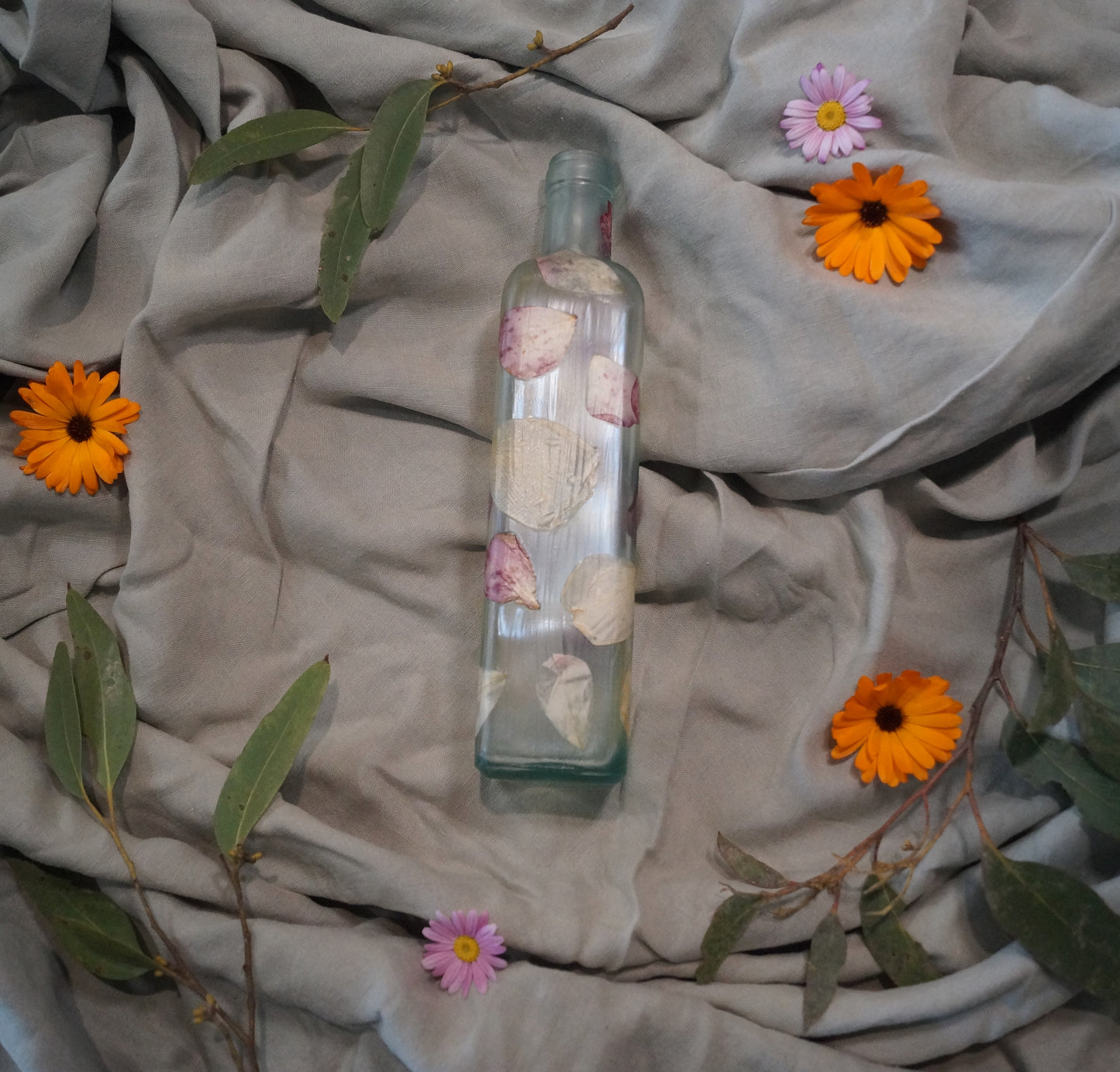 Botanic Bottle    #2