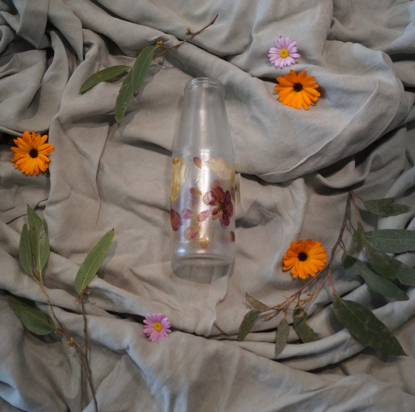 Botanic Bottle    #4