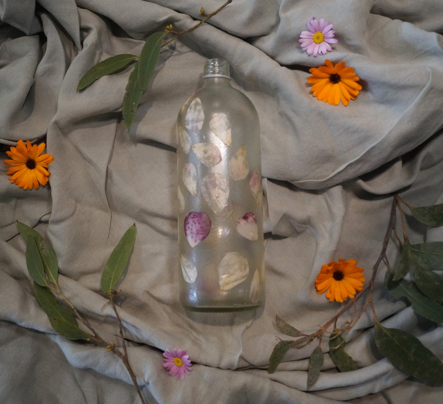 Botanic Bottle    #6